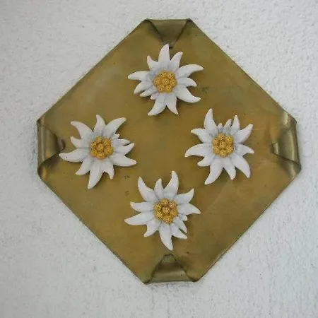 洛布斯皮泽公寓 圣加伦基希