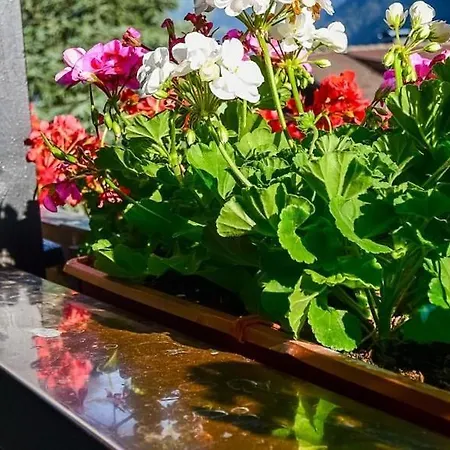 Apartment Rotbühlspitze